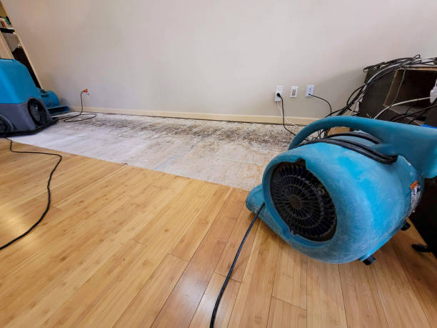 Professional Ceiling Water Damage Repair technician working in Garrison, ND
