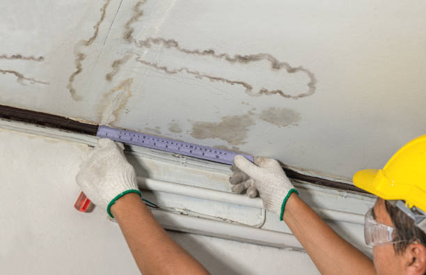 Affordable Ceiling Water Damage Repair solutions in Garrison, ND